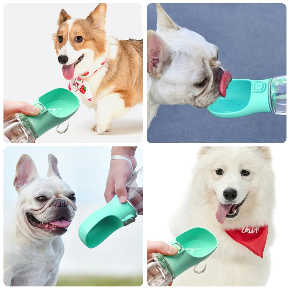PetQuench On-the-Go Sipper | Portable Pet Water Bottle